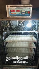  6 فقاسه فل اتوماتيك للبيع