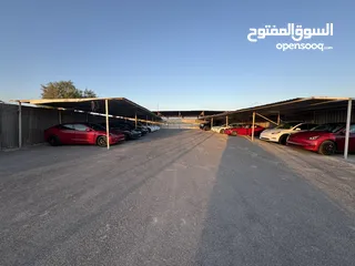  28 ‎‏‎‏Tesla Model 3 Standard Range Plus 2023