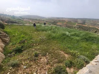  2 للبيع قطعة ارض بسعر مغري الارض 408 متر تصنيف الارض B  معمرة و مصلحة محاطه بسنسلةو شيك مع بواب وقفل