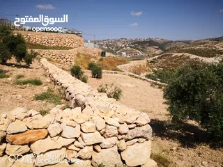  6 قطعة ارض مميزة في صوريف ابوشوك واصل كهرباء +زفتة (يمكن التبديل على شقة في مدينة الخليل)