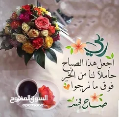  1 جوز زاجل شغال