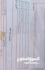  12 هونداي افانتي md 2011 بنزين اصلي