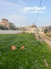  1 ارض للبيع والسكن