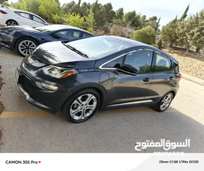  1 شفر بولت فحص كامل وكالة كلين تايتل