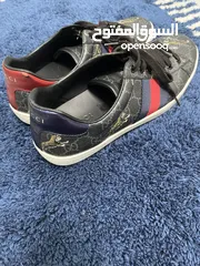  6 Used Size 41 Gucci Ace GG Supreme Tiger Shoes