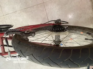  8 بسكيلت برازيلي