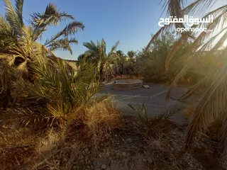  4 ارض للبيع من المالك مباشرة