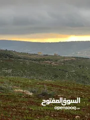  12 ارض للبيع جرش عنيبه منطقة شاليهات مساحة الارض 3500متر بقوشان مستقل اطلاله مميزه جدا جدا