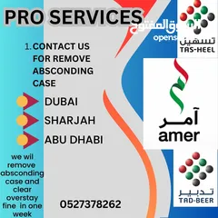  2 Dubai Visa Service