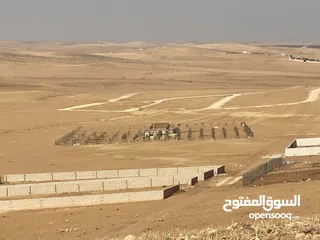  5 مزرعه زيتون