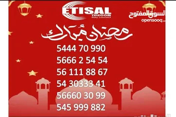  29 ETISALAT SPECIAL NUMBERS