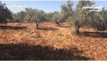  9 تملّك أرض مميزة