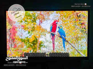  1 شاشة 24 بوصة LED FUll HD IPS معاها رسيفر و قاعدة مكتب و حامل حائط و ضمان سنة