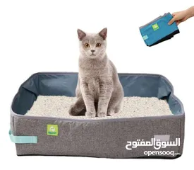  8 قط شكوتس فلود