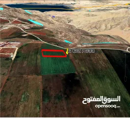  27 مادبا ماعين المشرفة قطعة ارض زراعية مميزة واصل الخدمات ذات اطلالة على البحر الميت واصل الخدمات
