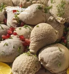  22 مطبخ ام همام للطلب قبل بيوم للتواصي يوجد خدمه توصيل