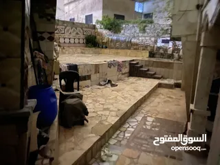  2 بيت +ارض للبيع لعدم الحاجه