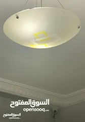  3 ثريا 2 بردايه زيبرا