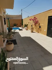  1 شاليه مميز في الجوفه منطقه مميزه