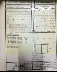  1 ارضين شبك في البريمي  منطقة الغريفة المرحلة الثالثة A