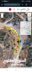  1 ارض الوعر الشامي