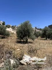  3 قطعة ارض سكن ( أ ) البقعان مقابل مسجد العطيات