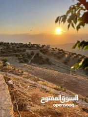  4 مزرعة في مغاريب السلط من المالك مباشرة