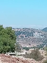  2 مزرعه للبيع في جرش سوف منطقه الظهره الشماليه