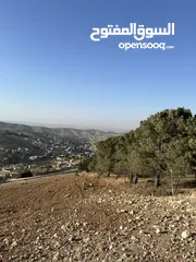  8 قطعة ارض للبيع ( الإطلالة الأجمل في منطقة بيرين)  واصل جميع الخدمات ( على قمة ام رمانة )