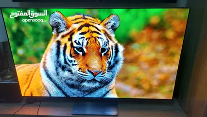  8 Samsung 55 OLED 2022 model:S95B