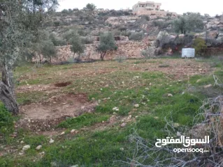  2 أرض للبيع بسعر مغري كثيييير