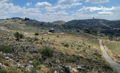  2 امتلك دونم أرض في فرخة – سلفيت بإطلالة غربية جنوبية خلابة وطابو فلسطيني - A