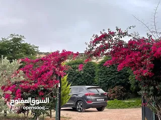  4 مزرعة وشاليه