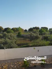 8 شاليه للايجار