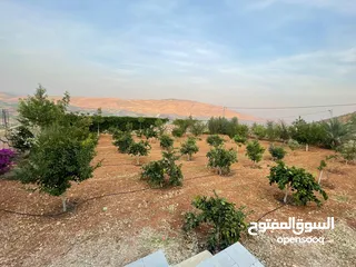  8 ارض للبيع في النصارية