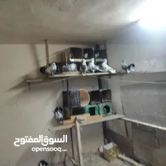  11 حمام للبيع