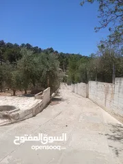  4 منزل عليه 6 دنمات