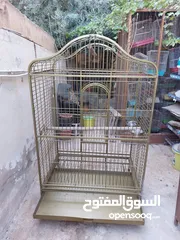  7 قفص ببغاء كبير يتسع لأكثر من طير مستعمل نظيف