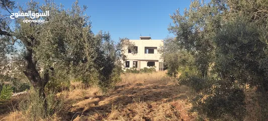  4 أرض مميزة للبيع