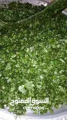  7 ملوخيه شغل بيت 4كيلو اخضر ب 10د ناشف الكيلو 5  اقل سعر  ملوخيه السنه نخبب  ملوخيه مغسله ونضيفه وجاهز