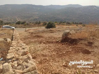  1 قطعة أرض للبيع في مزارع النوباني تصنيف أ