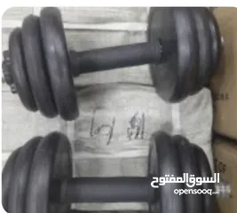  1 دامبل استعمال شهر