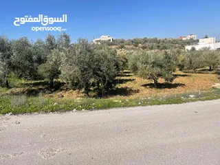  4 قطة ارض للبيع في ضاحية الإمام الغزالي ممتازه ومطله حوض ام عوسجه بالقرب من مدرسة بناة الغد