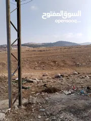  3 5 دنمات دخلة مطعم خيل وليل اكثر من قطعة