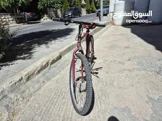  19 دراجه هوائية نوع Mangoos حجم 26 لأشخاص 175سم فما فوق