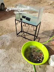  3 حوض سمك للبيع