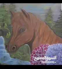  1 عده لوحات كانفس ألوان الأكليرك احجام  45سم  في 50سم لعشاق الرسم