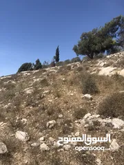  1 ارض للبيع في بيت امرين