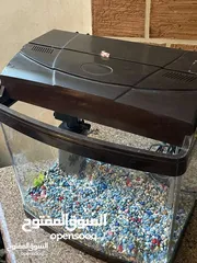  4 حوض سمك مع فلتر واضاءه لون ابيض
