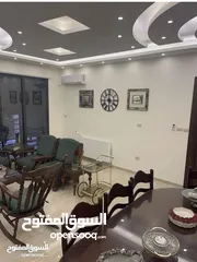  1 شقة استثمارية للييع يجانب جامعة البتراء